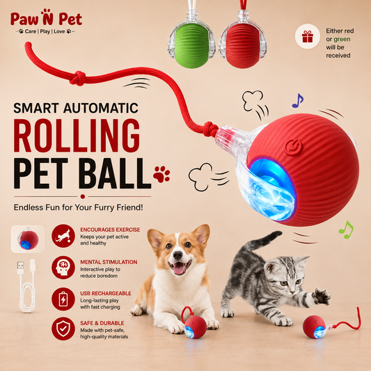 Smart Rolling LED Ball – Interactive Motion-Activated Pet Toy