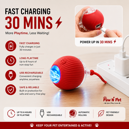 Smart Rolling LED Ball – Interactive Motion-Activated Pet Toy