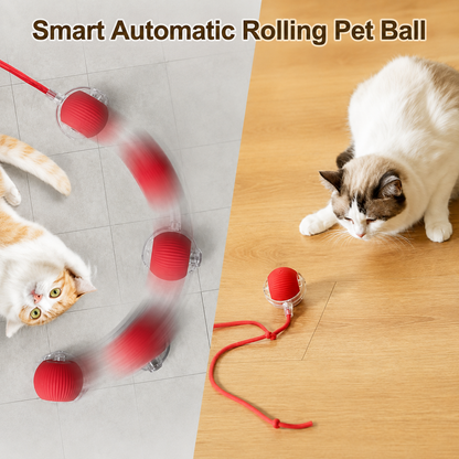 Smart Rolling LED Ball – Interactive Motion-Activated Pet Toy