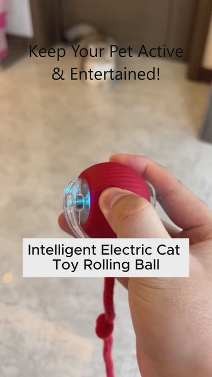 Smart Rolling LED Ball – Interactive Motion-Activated Pet Toy